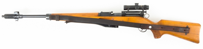 Schmidt Rubin Mle 31/55